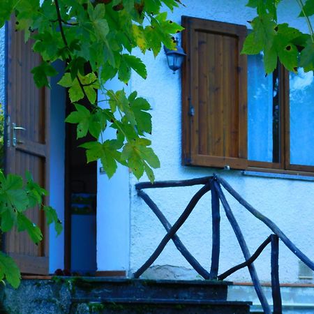 Graziosa Casetta Con Camino In Pietra E Giardino อาเบโตเน ภายนอก รูปภาพ